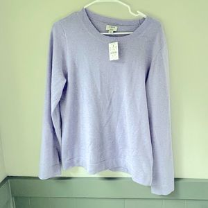 J crew sweater NWT | L